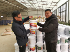杨提修的“圣油花”花生让古宋河畔 遍地生金