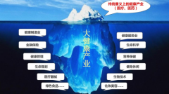 许会山先生给哪些行业品牌融合健康行业出解决方案？