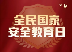 中华财险衡水中支开展“国家安全教育日”宣传活动