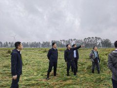 应赔尽赔 快赔早赔—中国太保产险江苏分公司积极开展秋粮保险护航粮食安全